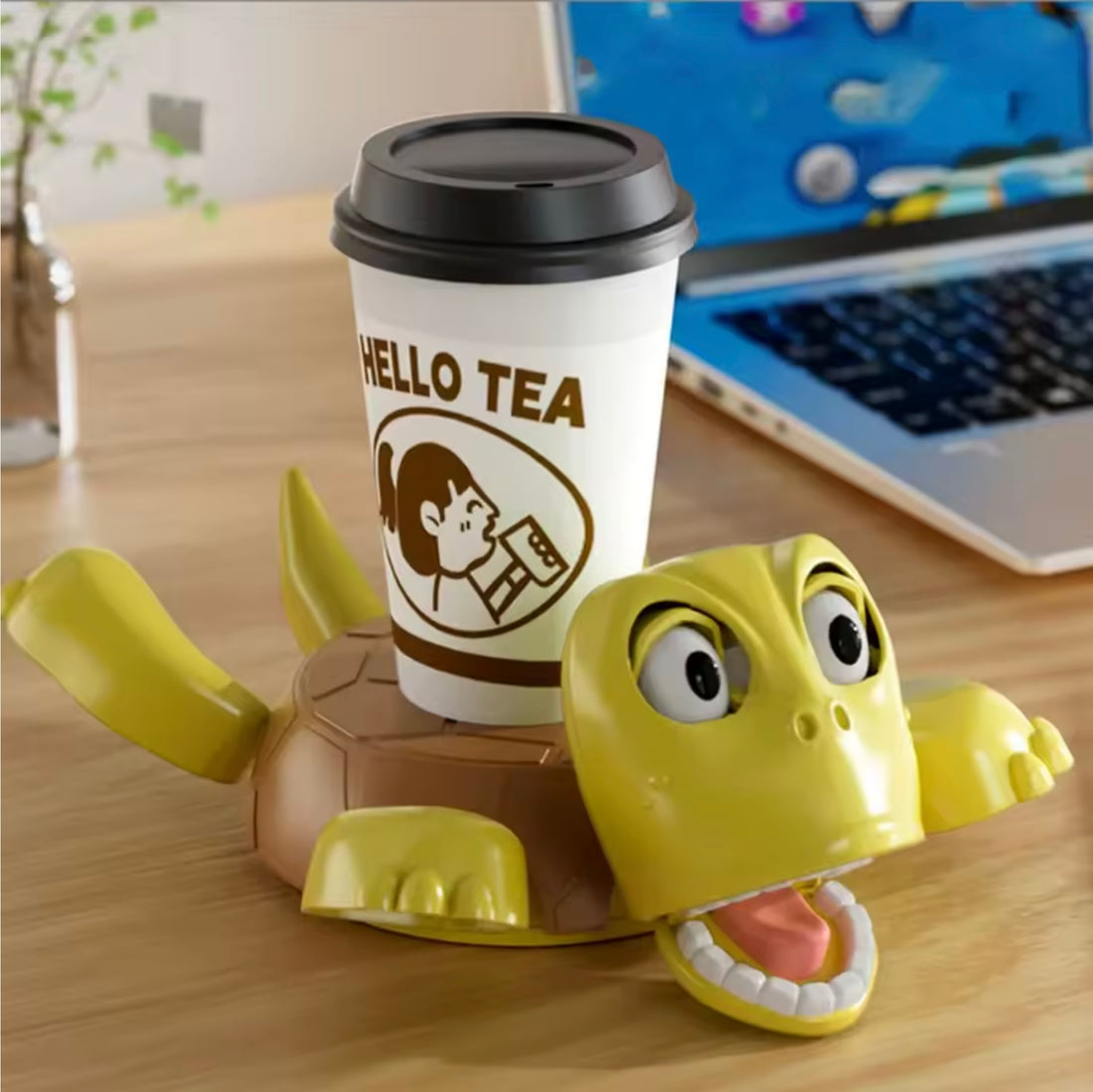Mr. Shell Coaster