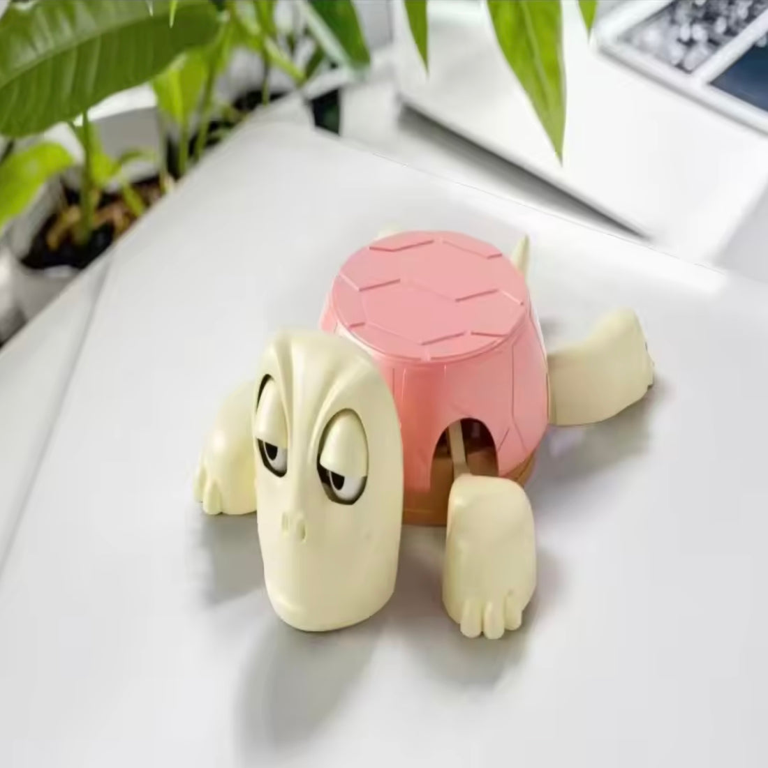 Mr. Shell Coaster