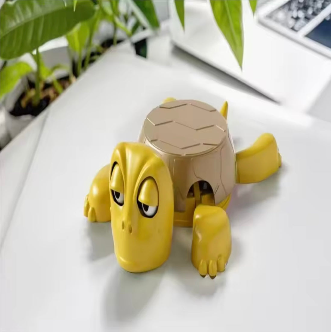 Mr. Shell Coaster