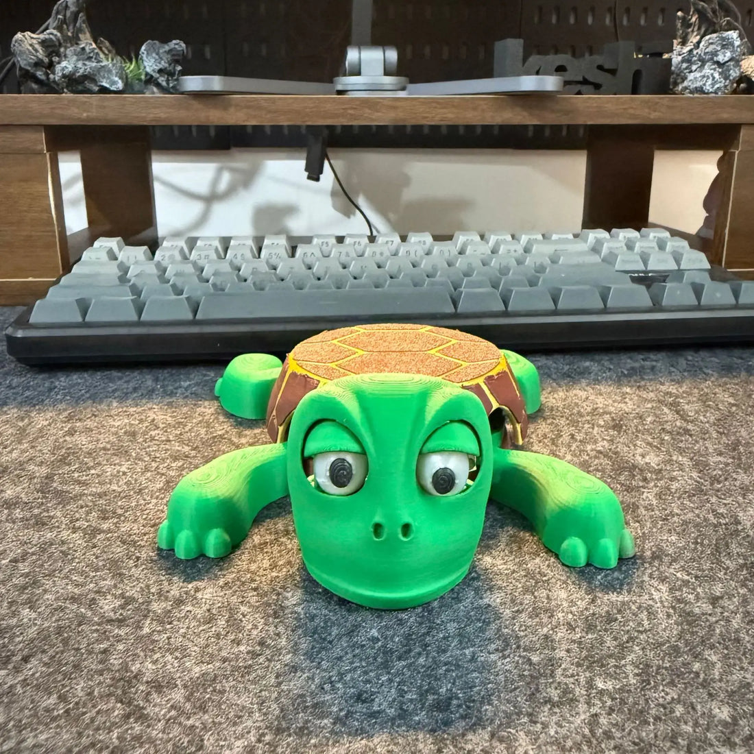 Mr. Shell Coaster
