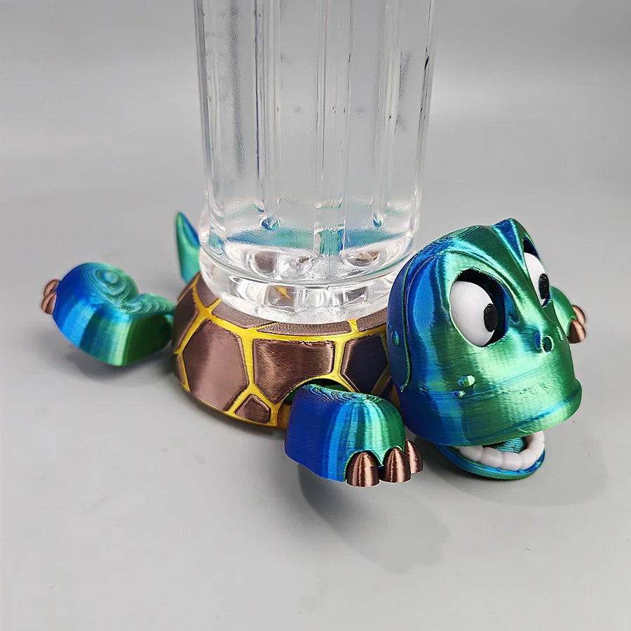 Mr. Shell Coaster