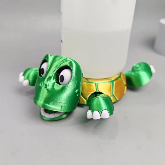 Mr. Shell Coaster