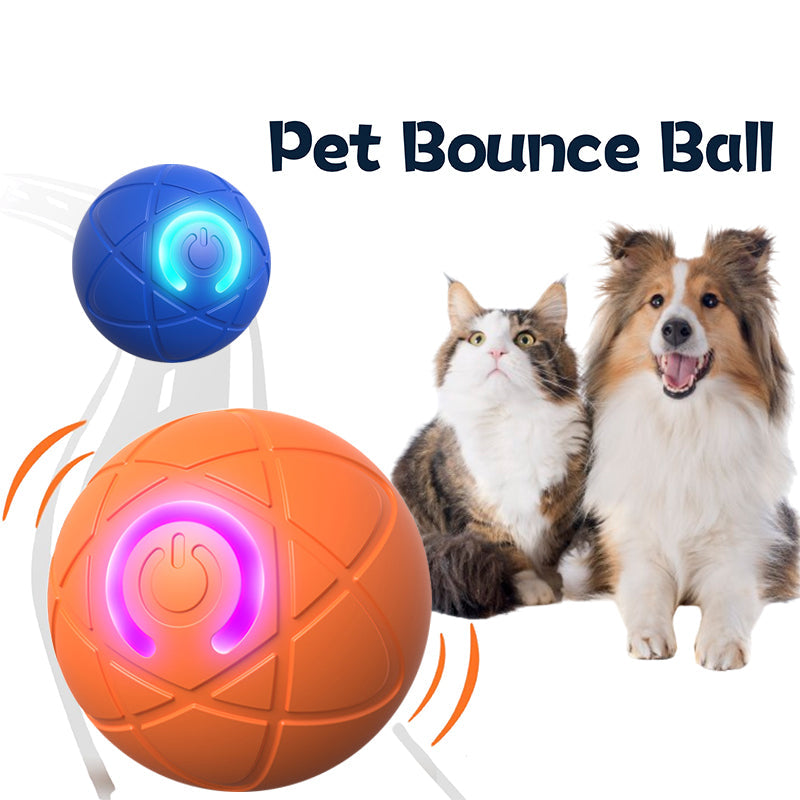 EasyLife™ Pet Bounce Interactive Ball