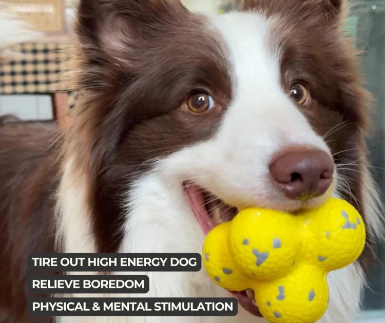 Chewable*, no need to keep buying dozens of tennis balls
