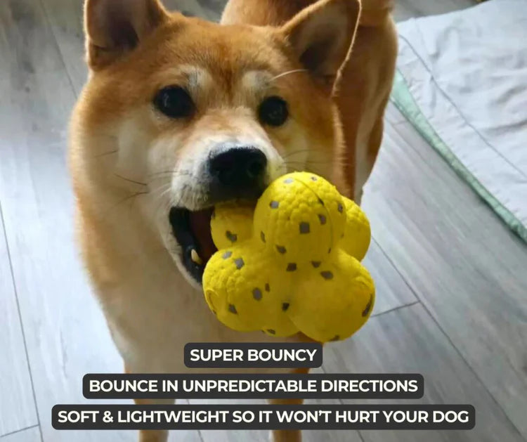 The only ball in the world that your dog will never get bored of