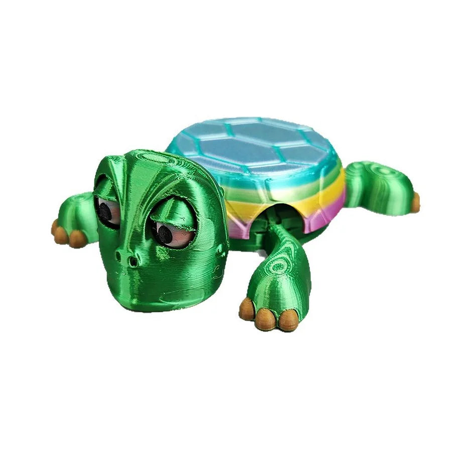 Mr. Shell Coaster
