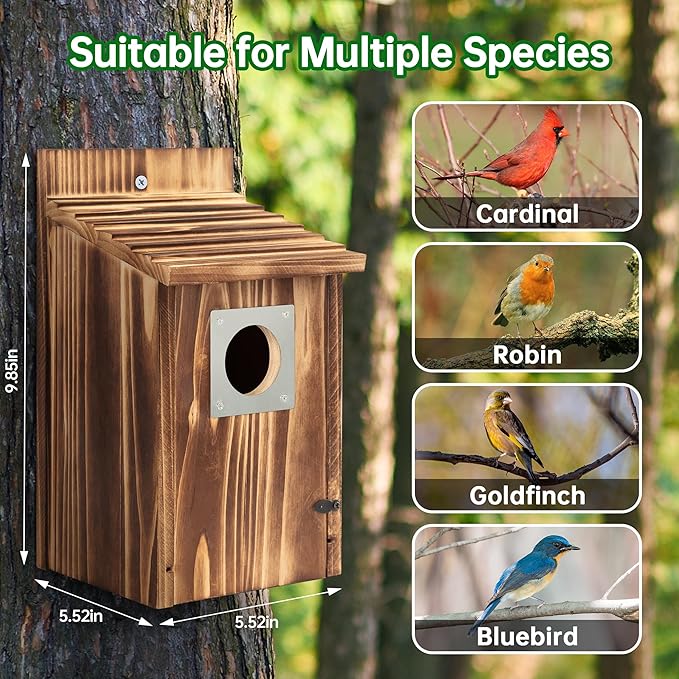Wood Bird House with Metal Predator Guard