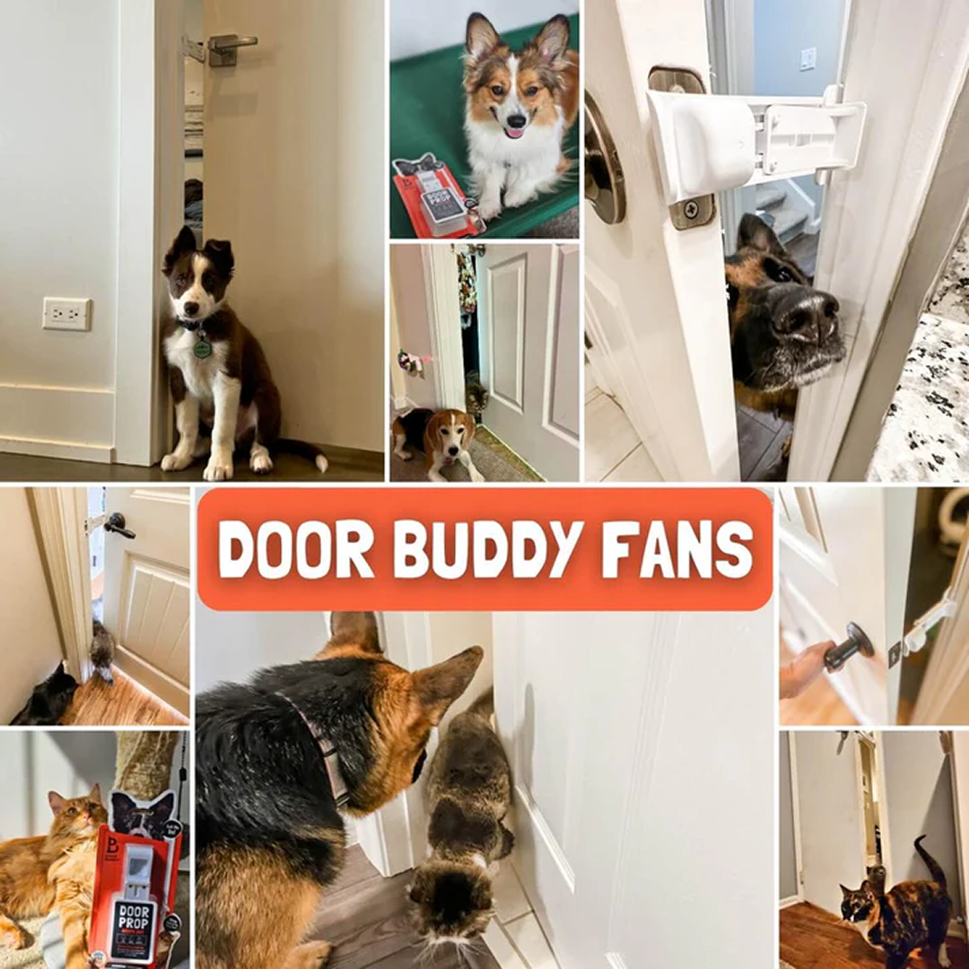 Easylife™ Door Buddy® Cat Door Prop