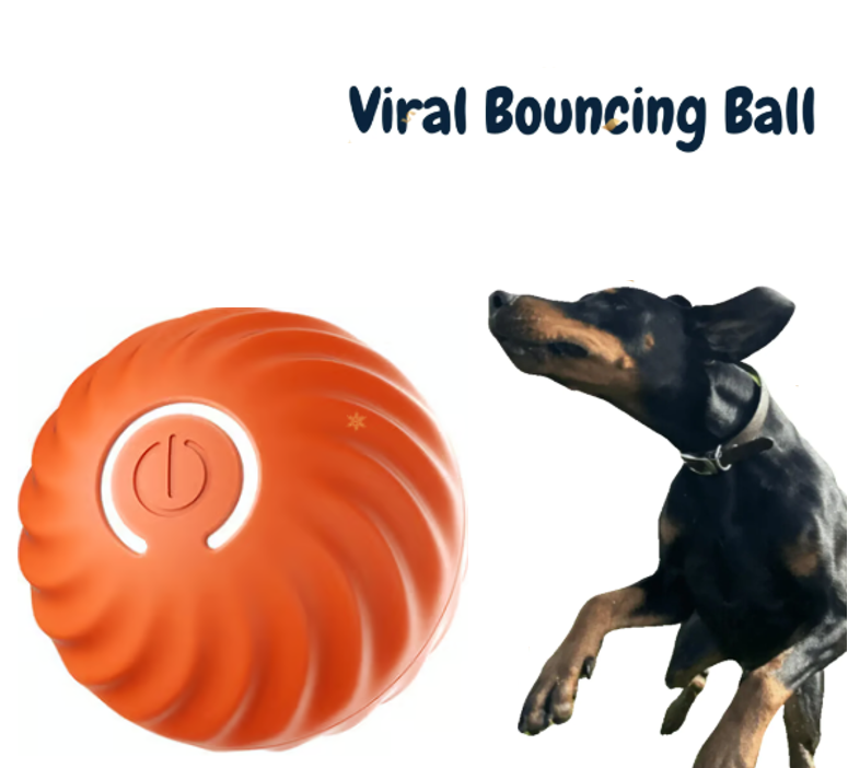 EasyLife™ Pet Bounce Interactive Ball