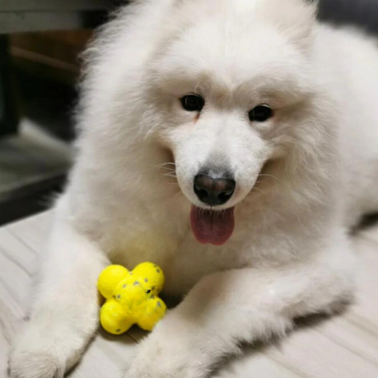 Calming Ball (2 Balls)