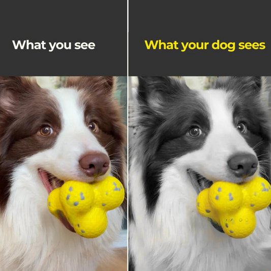 Calming Ball (2 Balls)