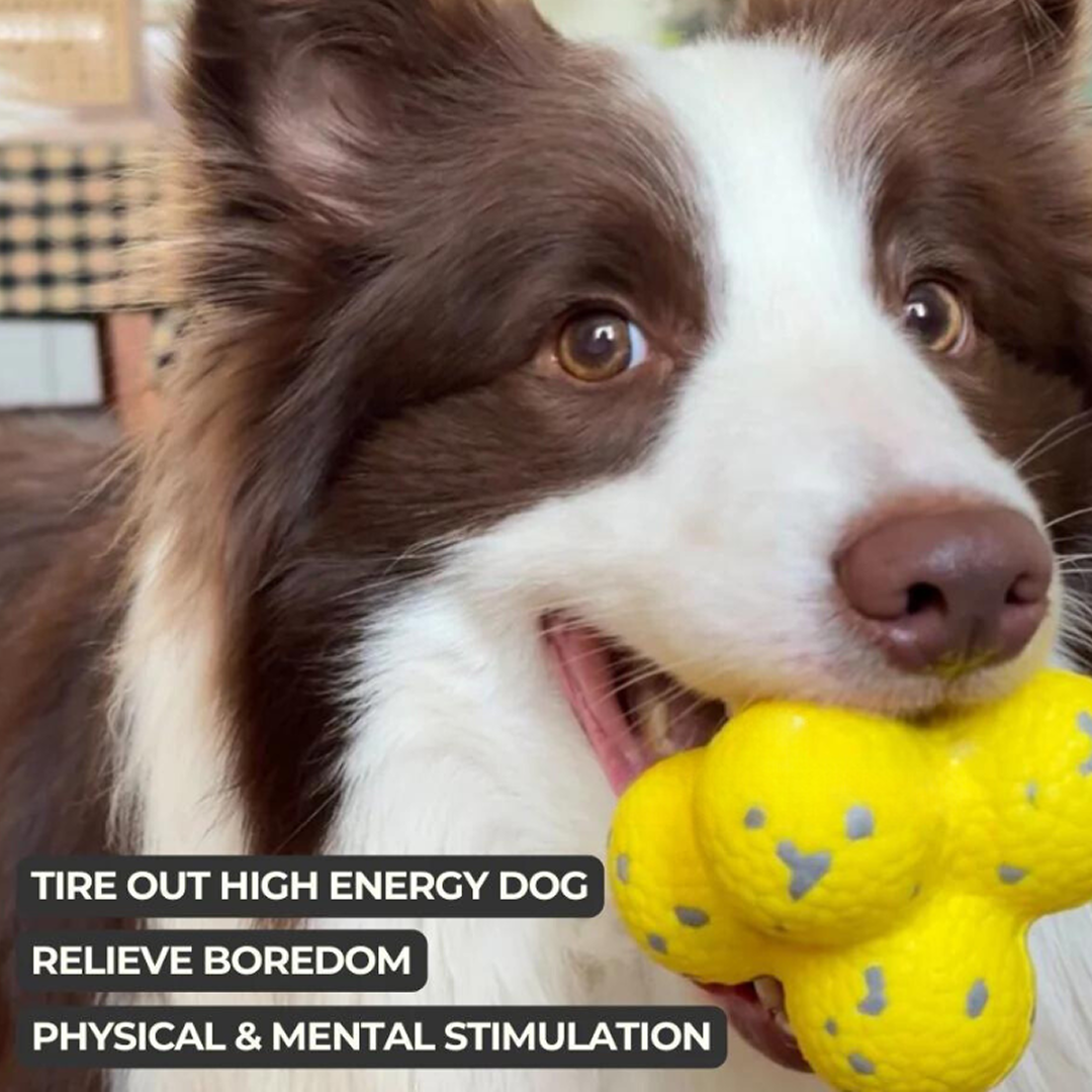 Calming Ball (2 Balls)