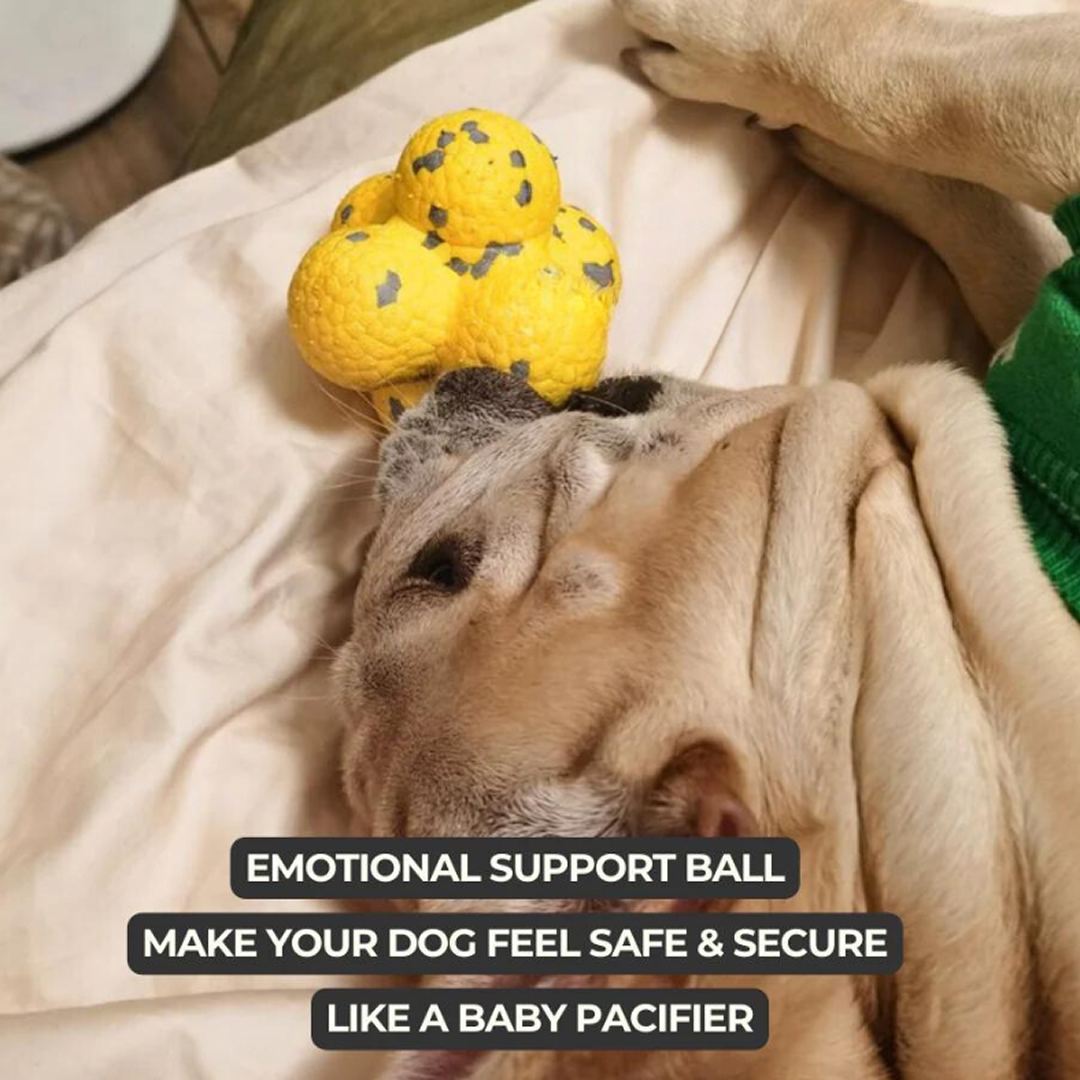 Calming Ball (2 Balls)