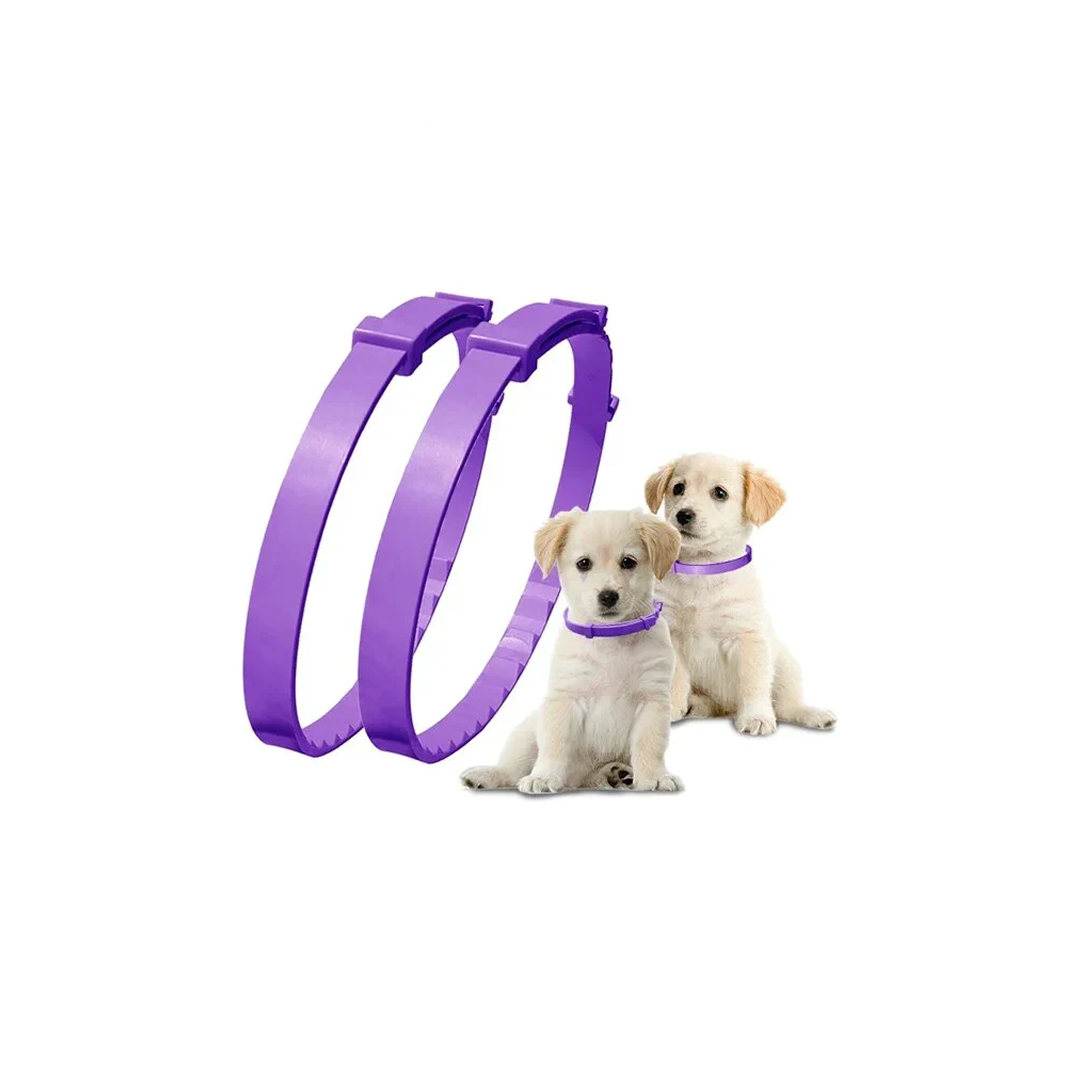 Calming Natural Lavender Oil Pet Collar