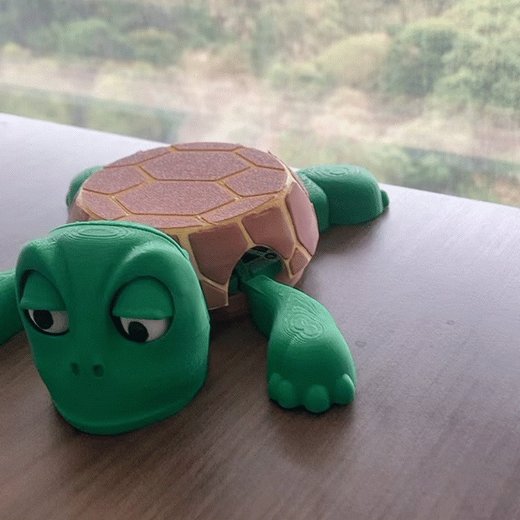 Mr. Shell Coaster – Sip, Laugh, Repeat!
