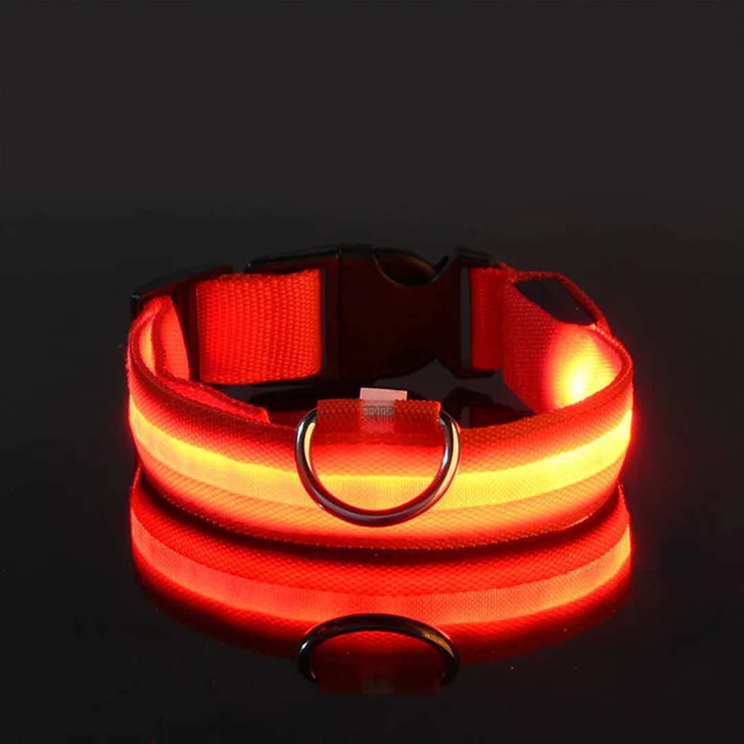 LED Pet Collar - Keep Your Pup Safe Day and Night!