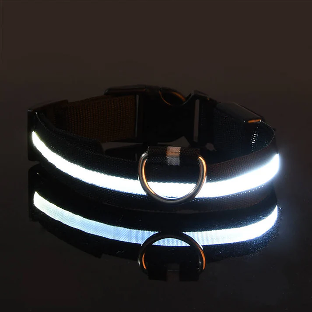 LED Pet Collar - Keep Your Pup Safe Day and Night!