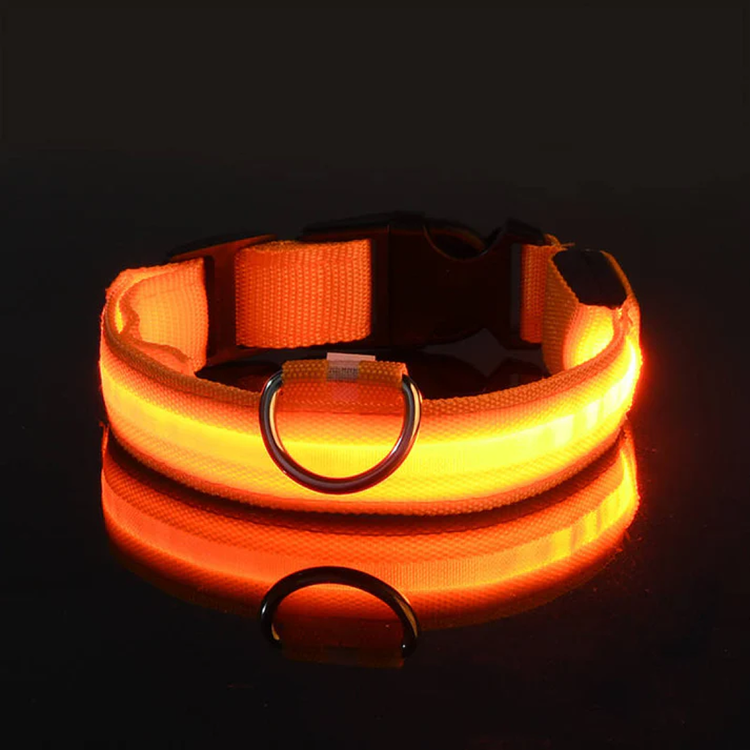 LED Pet Collar - Keep Your Pup Safe Day and Night!