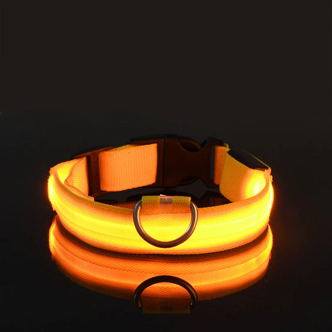 LED Pet Collar - Keep Your Pup Safe Day and Night!
