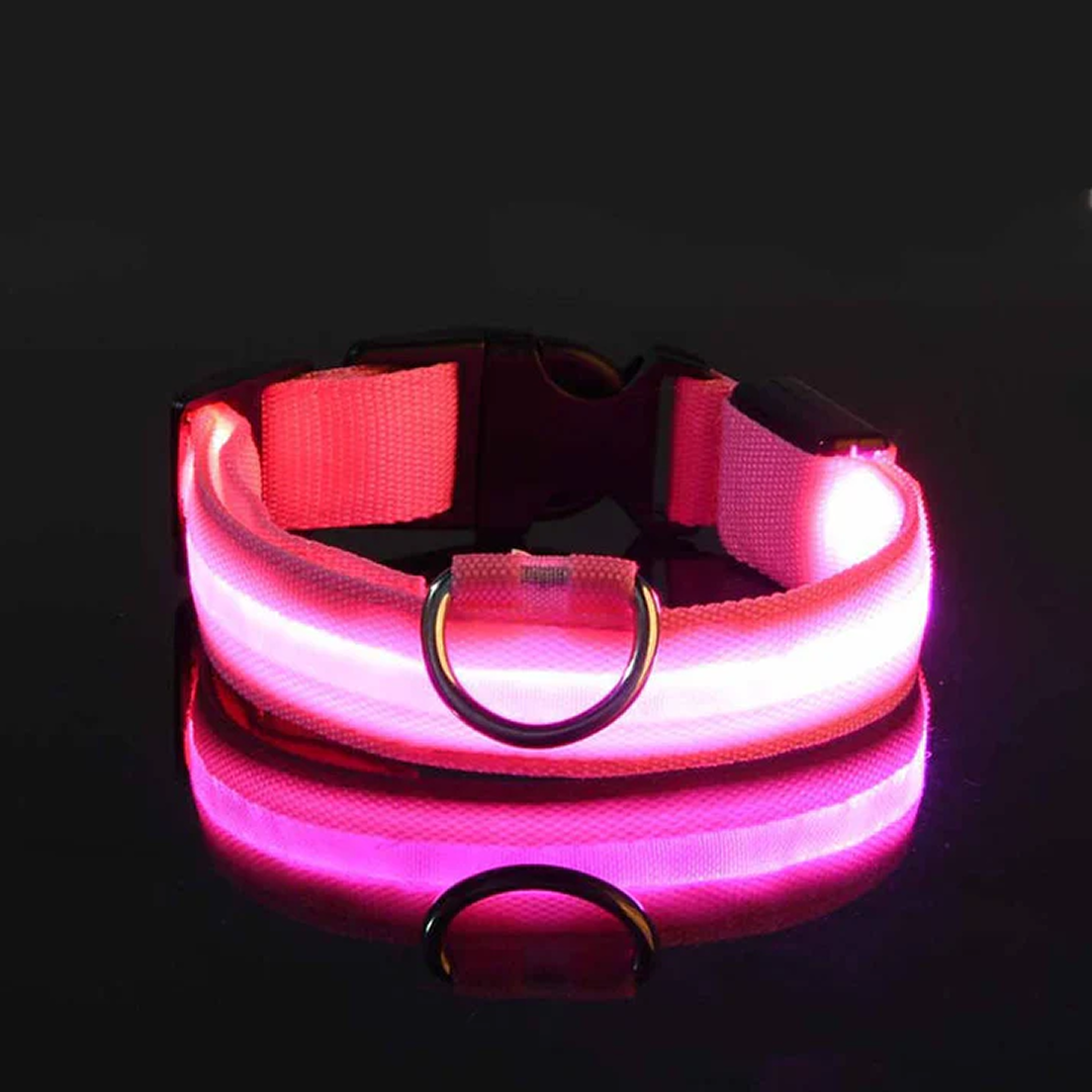 LED Pet Collar - Keep Your Pup Safe Day and Night!
