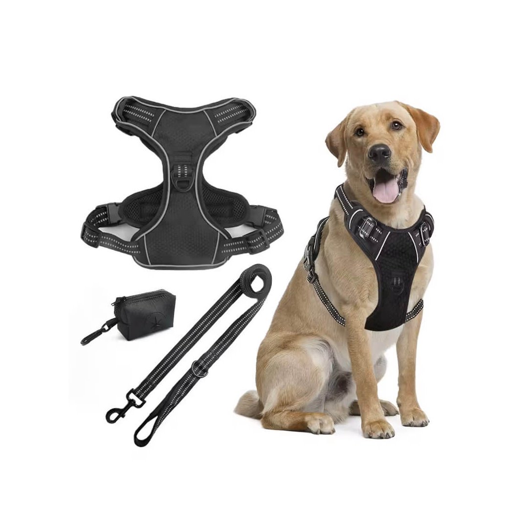 Pup Safety Harness Bundle