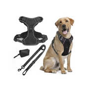 Pup Safety Harness Bundle