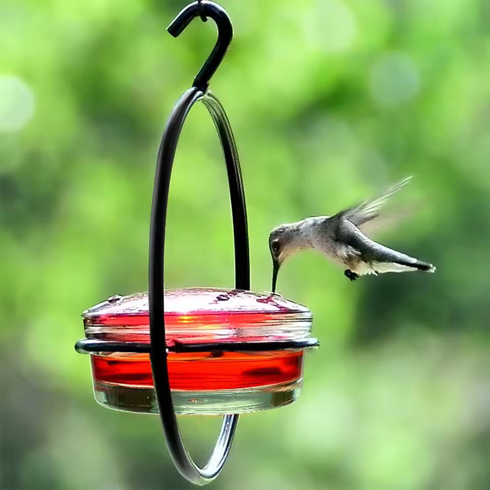 Red Bowl Bird Feeder for Water & Nectar