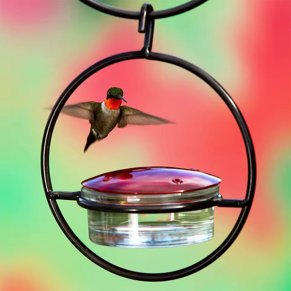 Red Bowl Bird Feeder for Water & Nectar