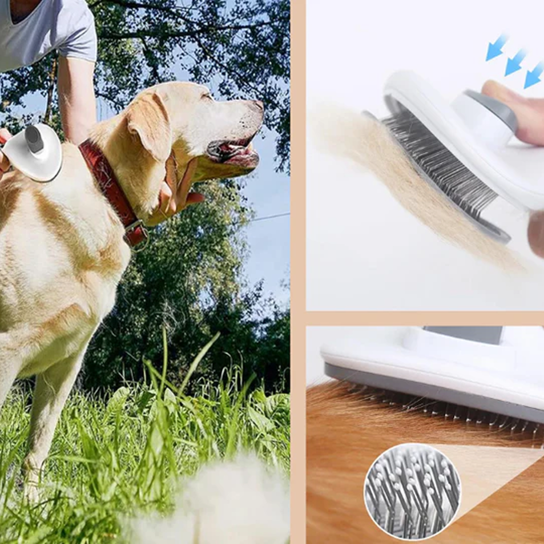 Stainless Steel Hair Brush for Pets