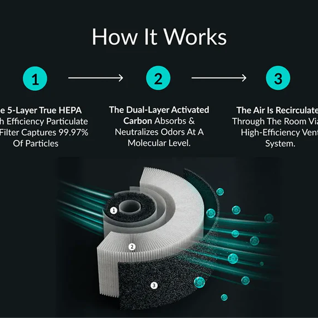 The Easylife Pet Air Purifier™