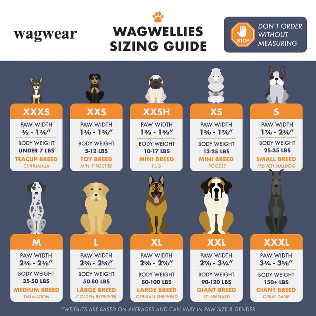 Easylife™ Pet Shoes | Spring, Summer, Autumn, and Winter Dog Outdoor Sandals (Non-slip - Easy to Clean)