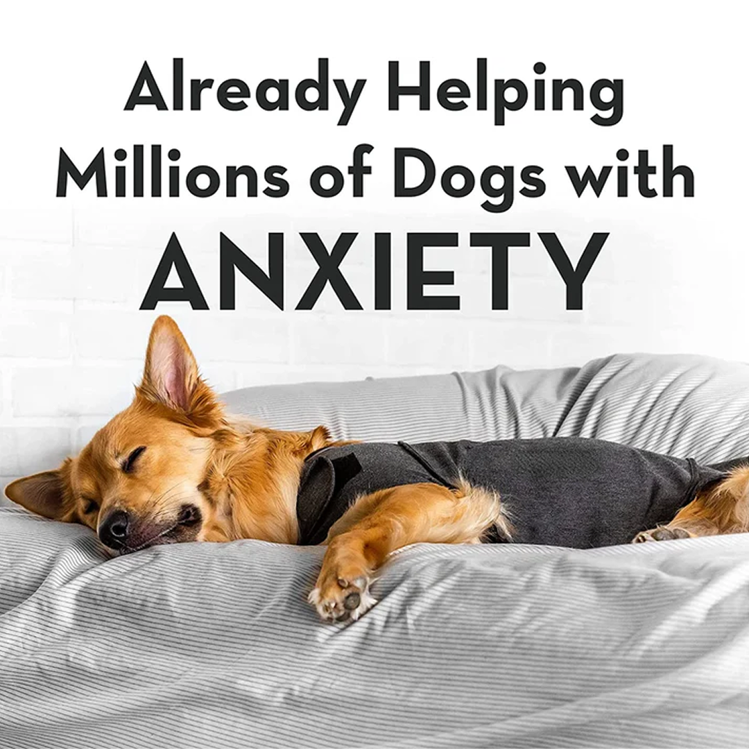 Easylife™: Dog Calming Vest