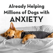 Easylife™: Dog Calming Vest
