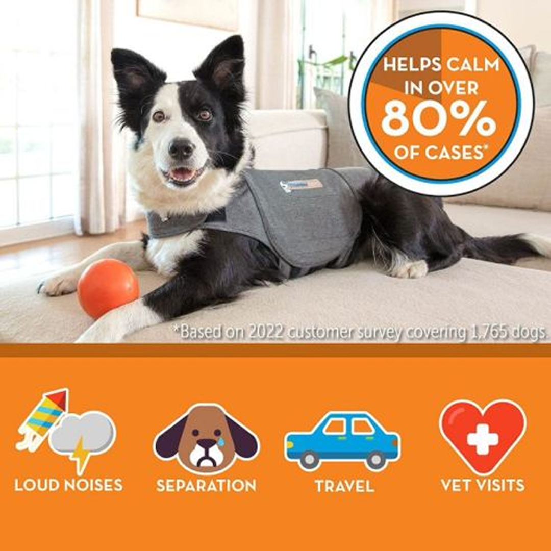 Easylife™: Dog Calming Vest