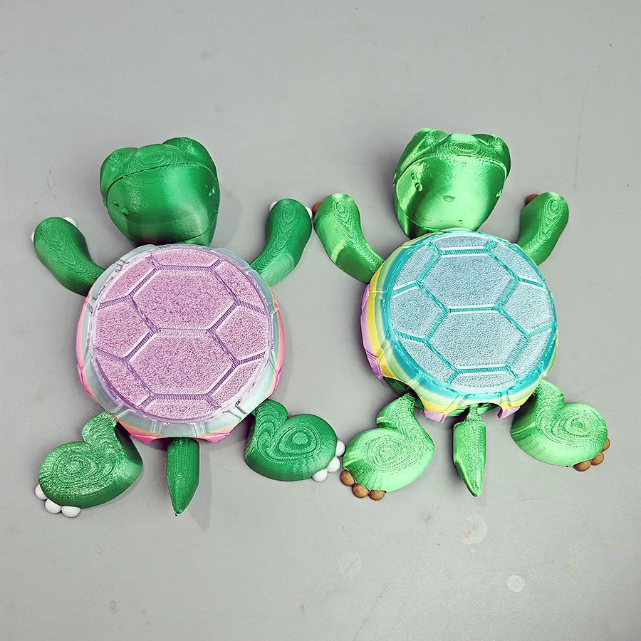 Mr. Shell Coaster