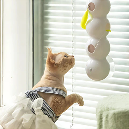 Curious cat? Mr. Wiggles is it!