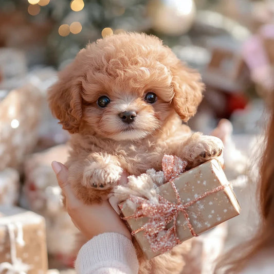🐶NICOOTOY- My Realistic Robot Puppy
